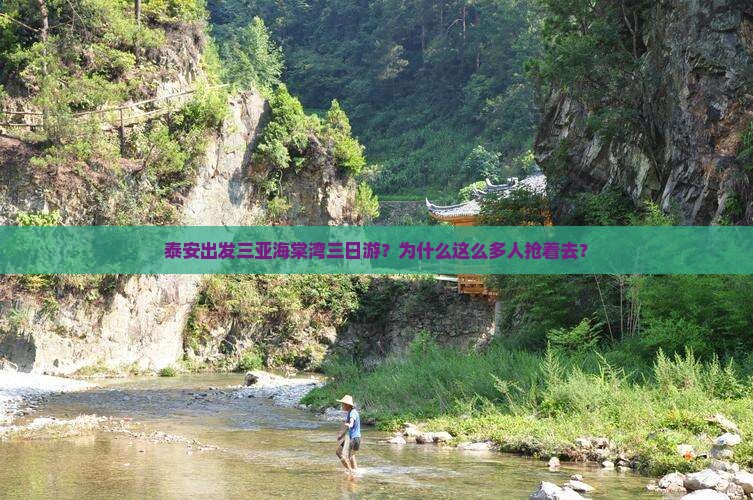 泰安出发三亚海棠湾三日游