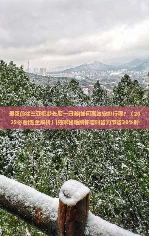 贵阳前往三亚椰梦长廊一日游