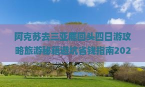 阿克苏去三亚鹿回头四日游