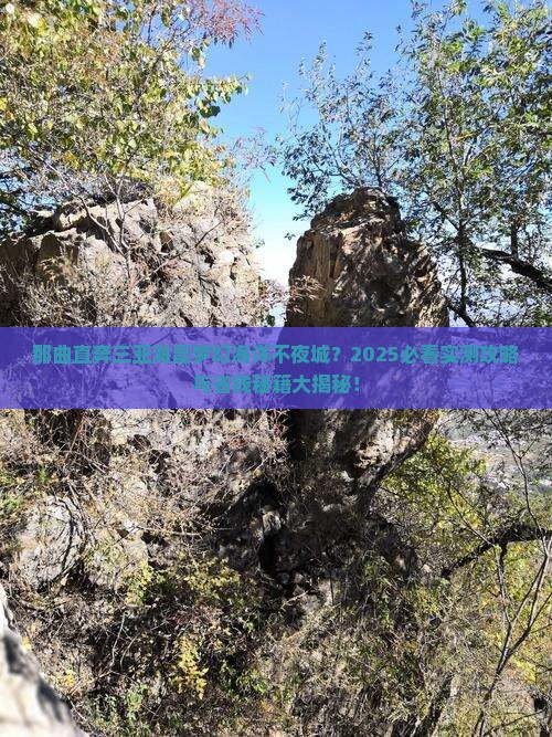 那曲去三亚海昌梦幻海洋不夜城一日游 那曲去三亚海昌梦幻海洋不夜城一日游