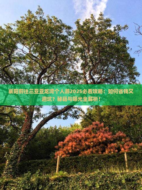 襄阳前往三亚亚龙湾个人游