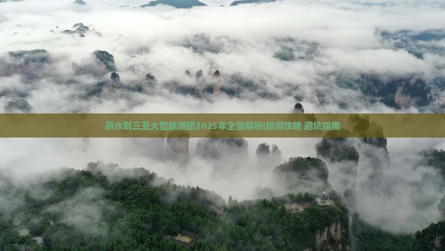 丽水前往三亚呆呆岛大型旅游团