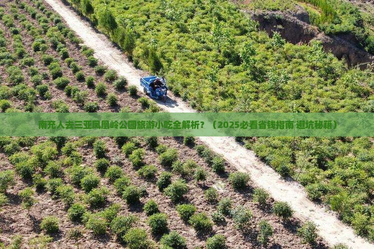 南充前往三亚凤凰岭公园旅游小吃