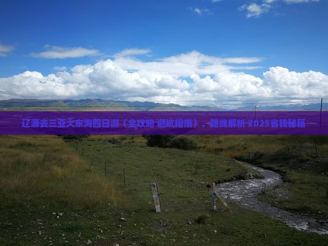 辽源去三亚大东海四日游