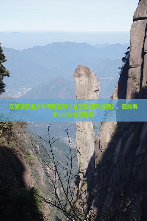 辽源去三亚大东海四日游