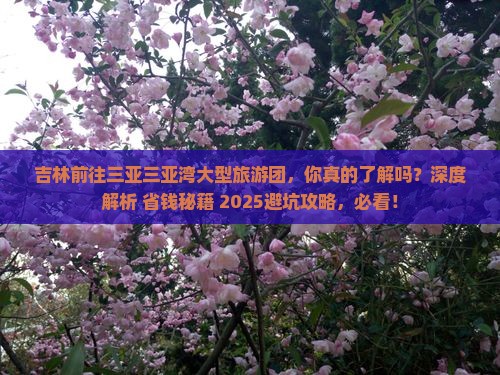 吉林前往三亚三亚湾大型旅游团