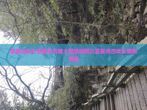 安康出发三亚崖洲古城大型旅游团