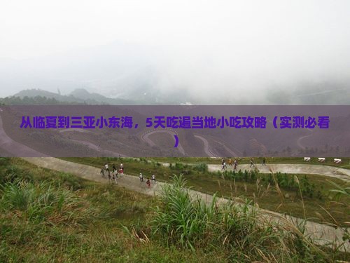 临夏出发三亚小东海旅游小吃