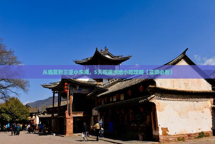 临夏出发三亚小东海旅游小吃
