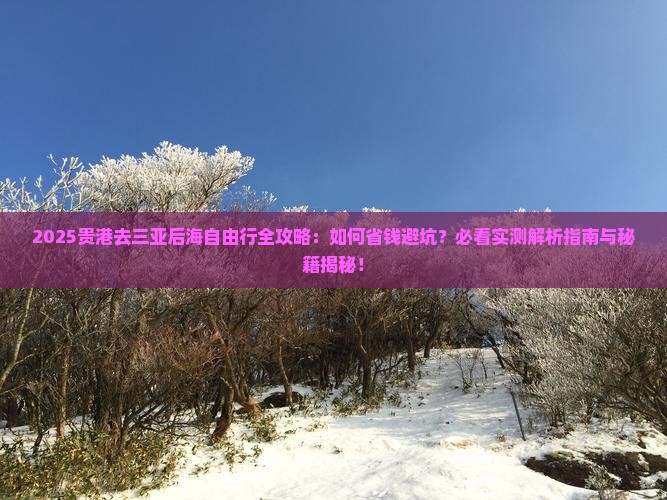 贵港去三亚后海自由行