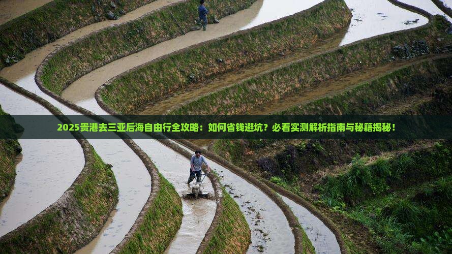 贵港去三亚后海自由行