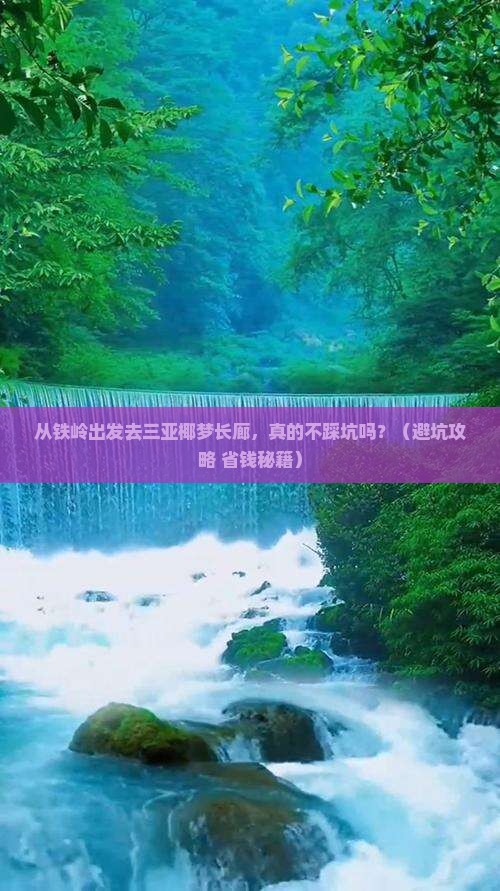 铁岭出发三亚椰梦长廊旅行社