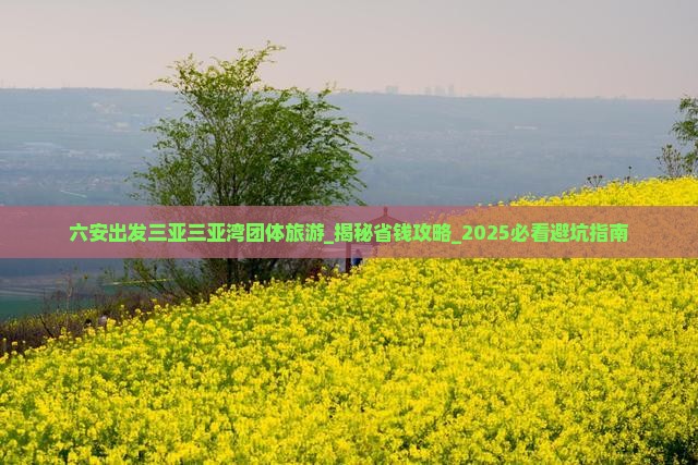 六安出发三亚三亚湾团体旅游