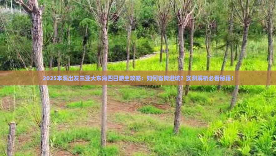 本溪前往三亚大东海四日游