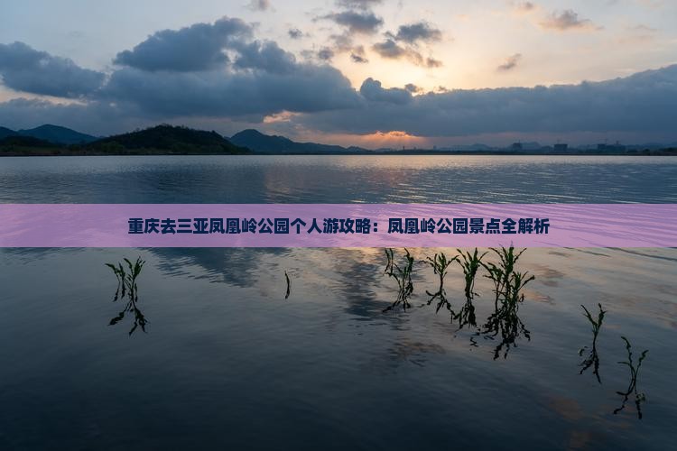 重庆去三亚凤凰岭公园个人游