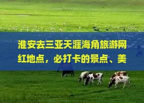 淮安去三亚天涯海角旅游网红地点