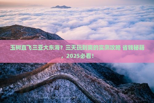 玉树前往三亚大东海三日游