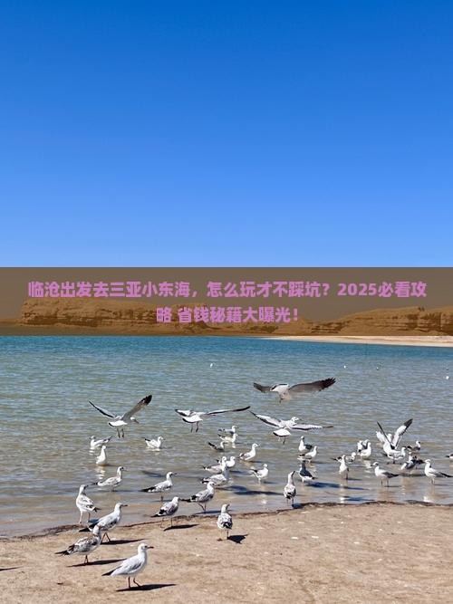 临沧出发三亚小东海团体旅游