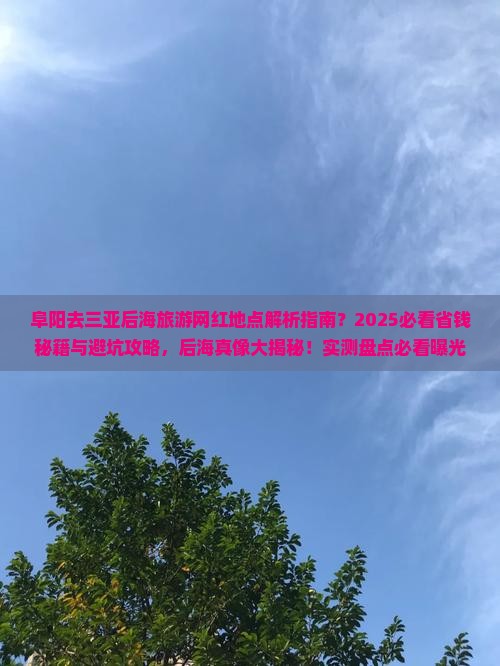 阜阳去三亚后海旅游网红地点