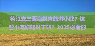 镇江去三亚海棠湾旅游小吃 镇江去三亚海棠湾旅游小吃
