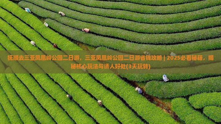 抚顺去三亚凤凰岭公园二日游