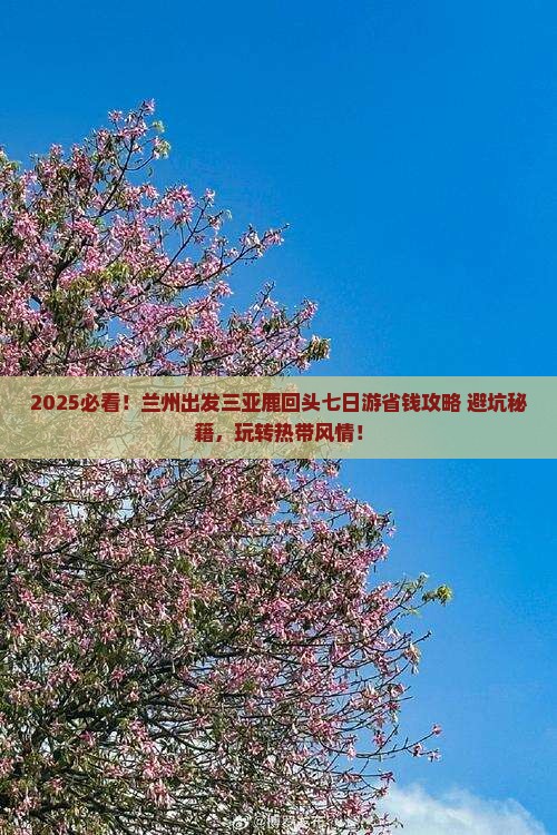 兰州出发三亚鹿回头七日游