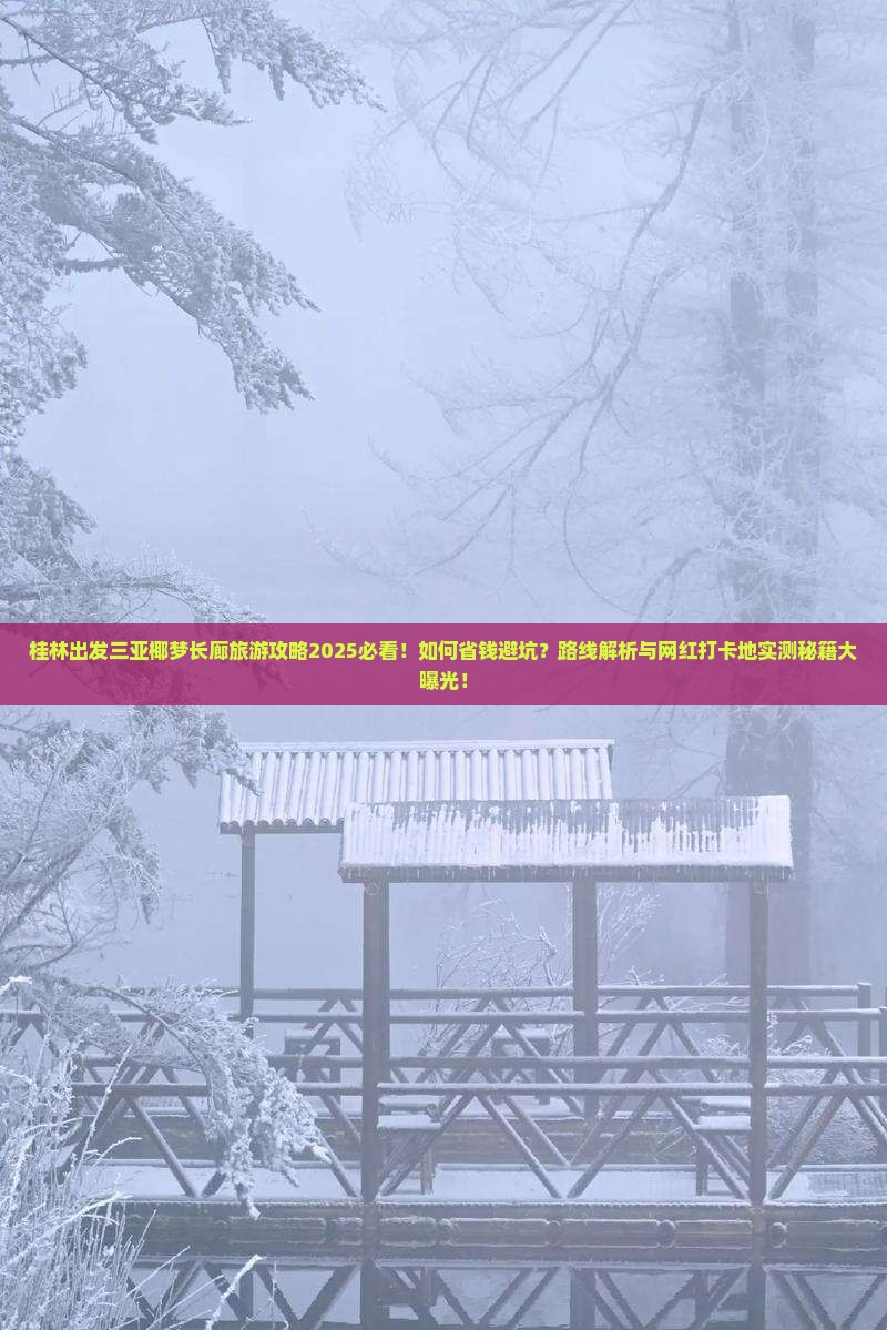桂林前往三亚椰梦长廊旅游网红地点