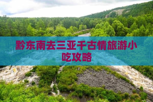黔东南去三亚千古情旅游小吃