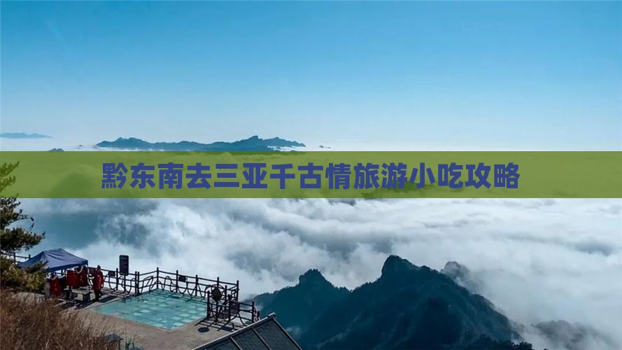 黔东南去三亚千古情旅游小吃