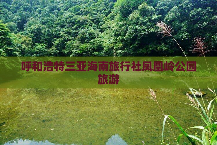 呼和浩特出发三亚凤凰岭公园旅行社