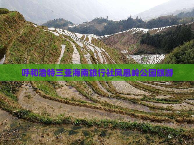 呼和浩特出发三亚凤凰岭公园旅行社