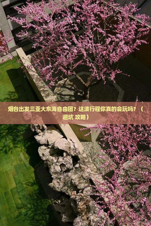 烟台出发三亚大东海自由团