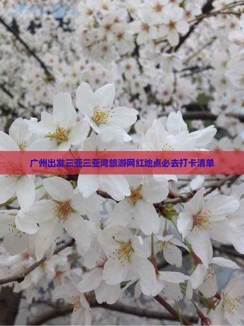 广州出发三亚三亚湾旅游网红地点