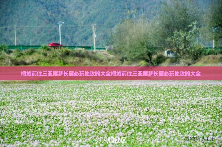 桐城前往三亚椰梦长廊必玩地