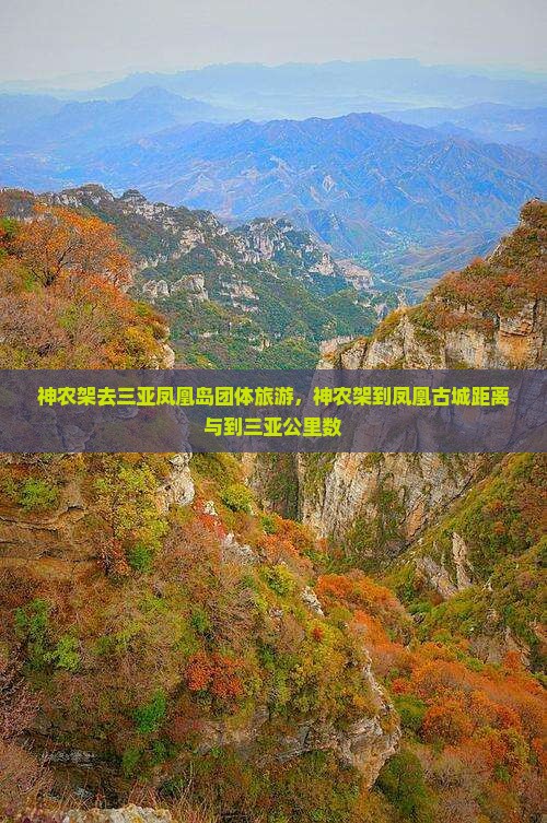 神农架去三亚凤凰岛团体旅游