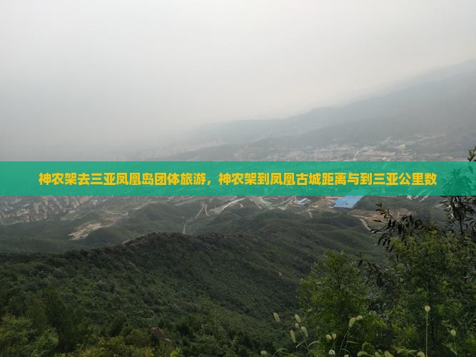 神农架去三亚凤凰岛团体旅游