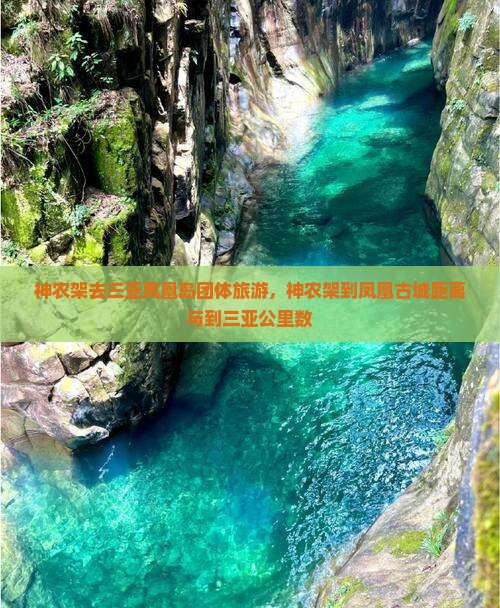 神农架去三亚凤凰岛团体旅游