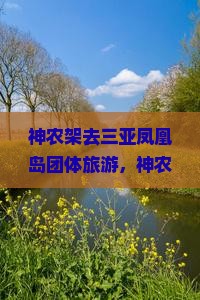 神农架去三亚凤凰岛团体旅游