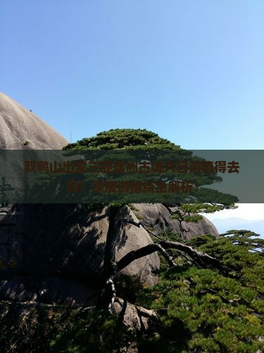 双鸭山出发三亚崖洲古城六日游