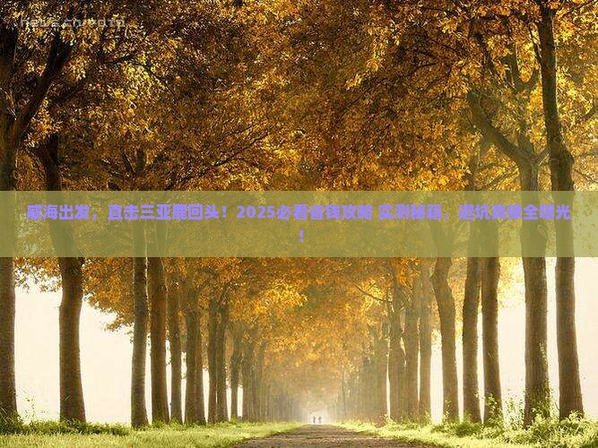威海去三亚鹿回头个人游