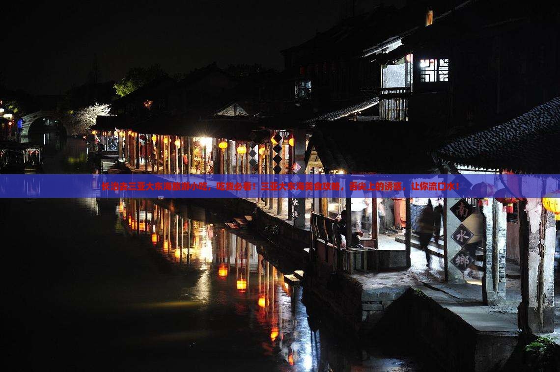 长治去三亚大东海旅游小吃
