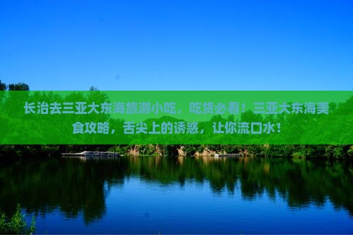 长治去三亚大东海旅游小吃