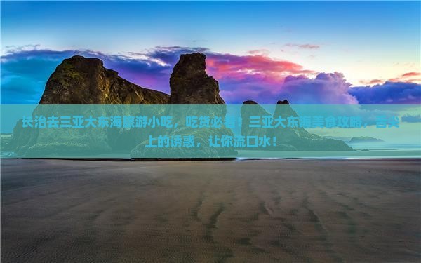 长治去三亚大东海旅游小吃