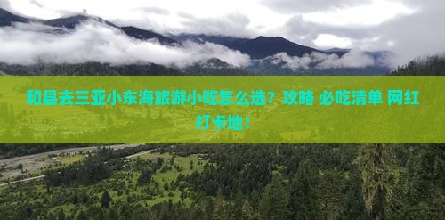 和县去三亚小东海旅游小吃