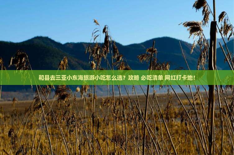 和县去三亚小东海旅游小吃