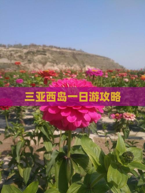 安康去三亚西岛一日游