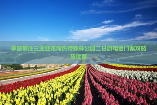 孝感前往三亚亚龙湾热带森林公园二日游