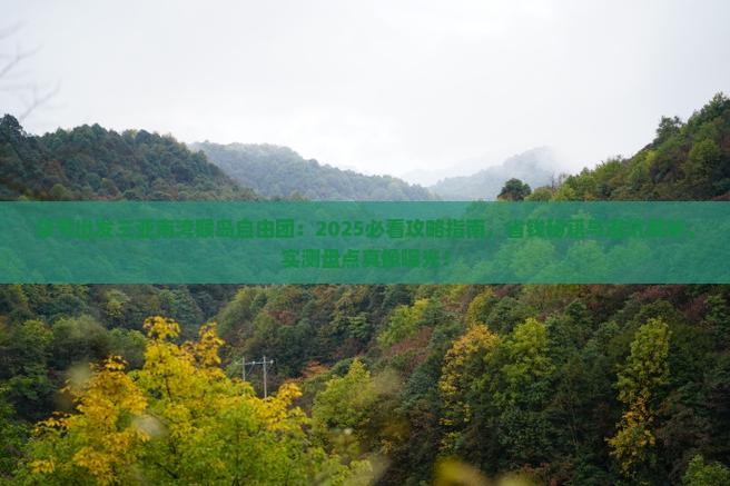 毕节出发三亚南湾猴岛自由团