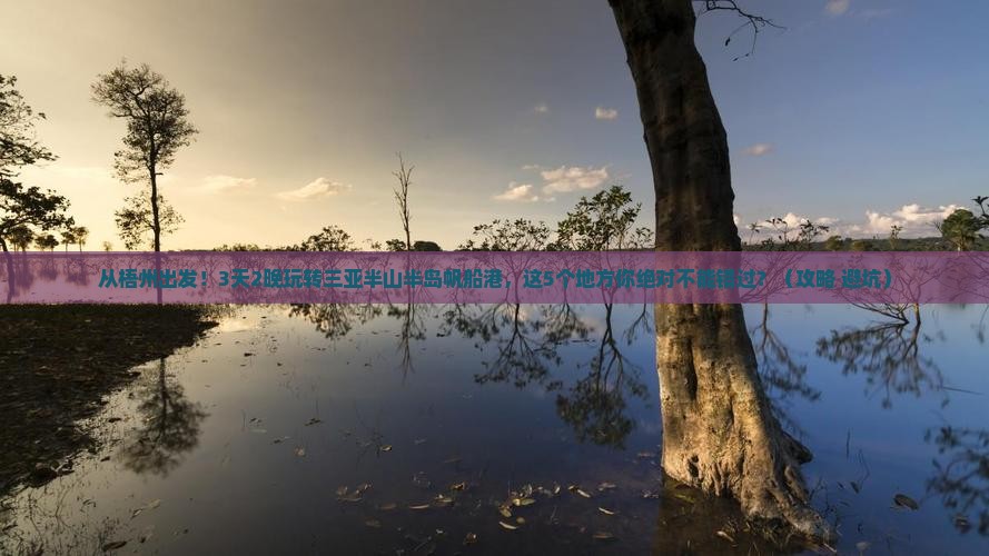 梧州出发三亚半山半岛帆船港旅游