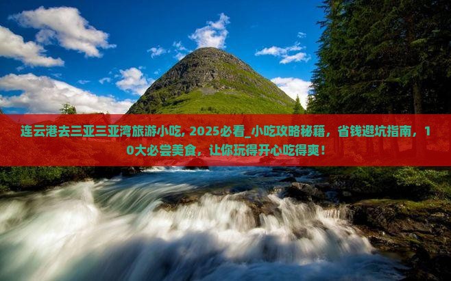 连云港去三亚三亚湾旅游小吃